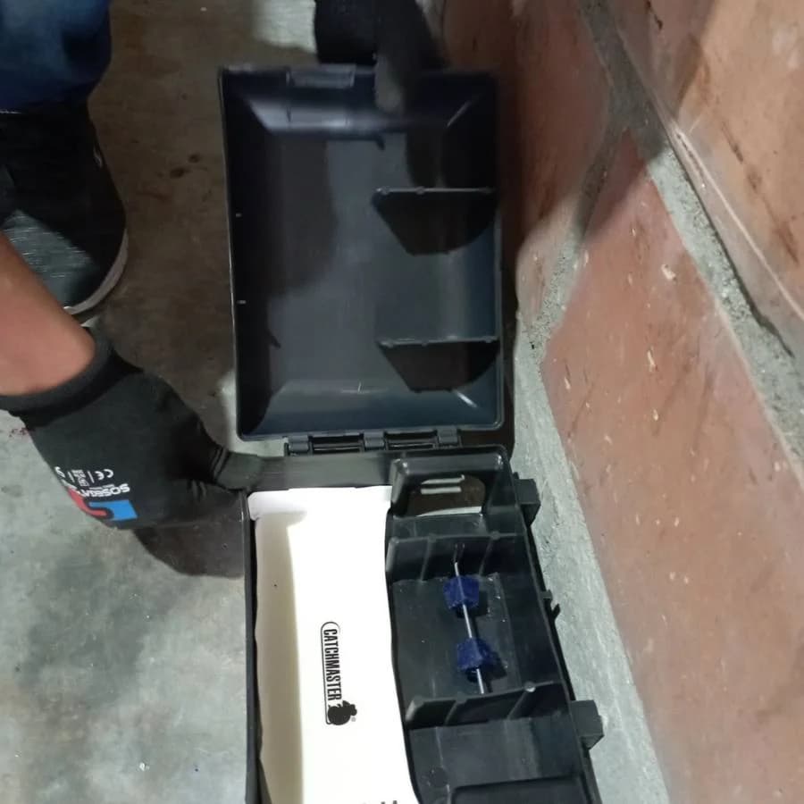 Técnico de IngeCoplag realizando control de roedores en una instalación